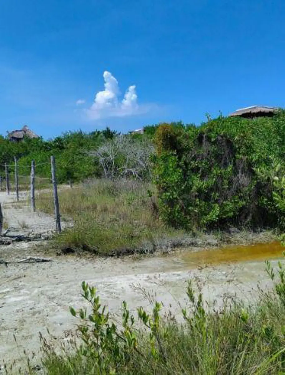 Terreno en venta en Isla de Holbox, Lázaro Cárdenas — foto 1 de 3