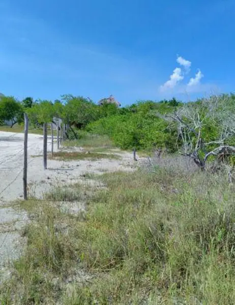 Terreno en venta en Isla de Holbox, Lázaro Cárdenas — foto 2 de 3