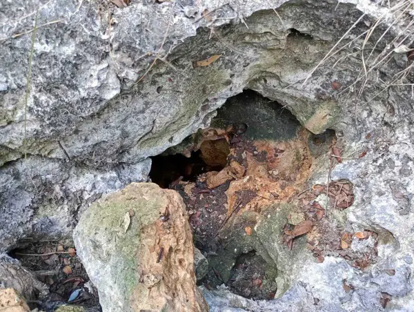 Terreno en venta en Cancún, Benito Juárez — foto 2 de 4