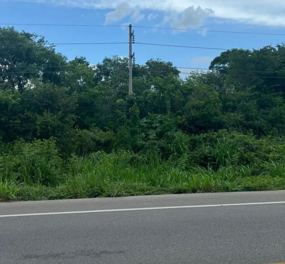 Terreno en venta en Bacalar, Valladolid — foto 1 de 3