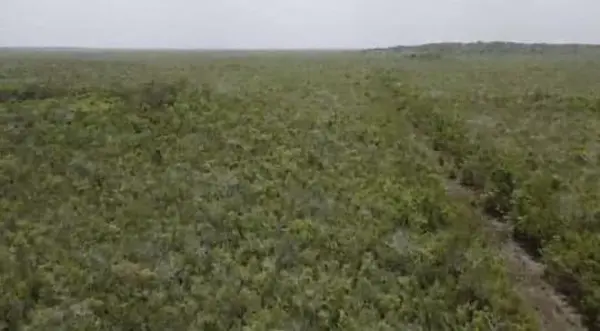 Terreno en venta en Bacalar, Bacalar — foto 3 de 5