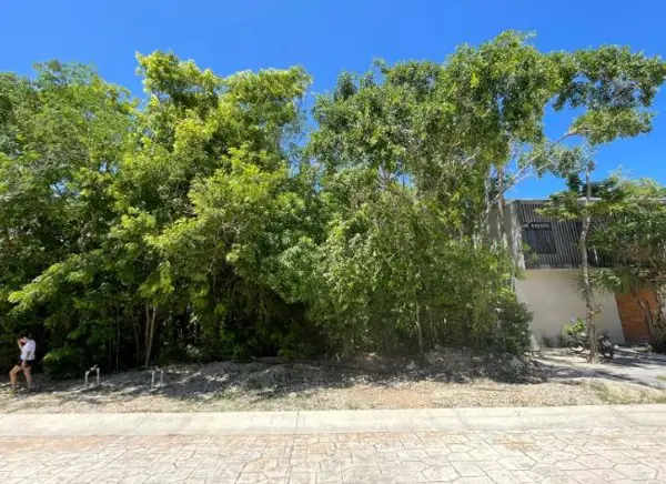 Terreno en venta en Jardines de Ciudad Mayakoba, Playa del Carmen — foto 2 de 2
