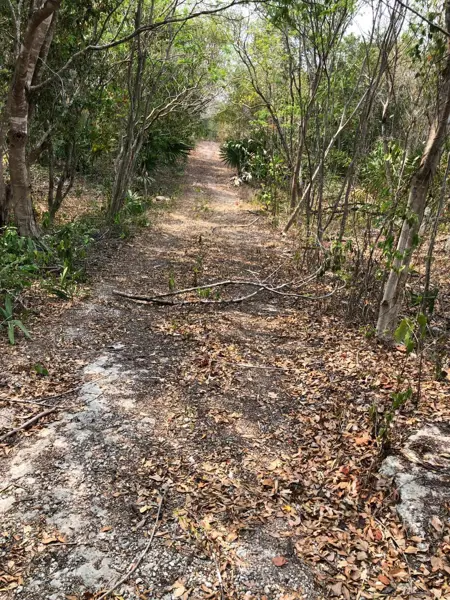 Terreno en venta en Mahahual, Othón P. Blanco — foto 2 de 7