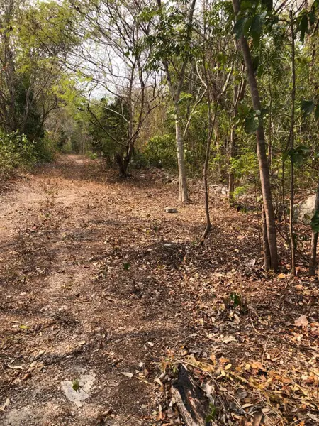 Terreno en venta en Mahahual, Othón P. Blanco — foto 3 de 7