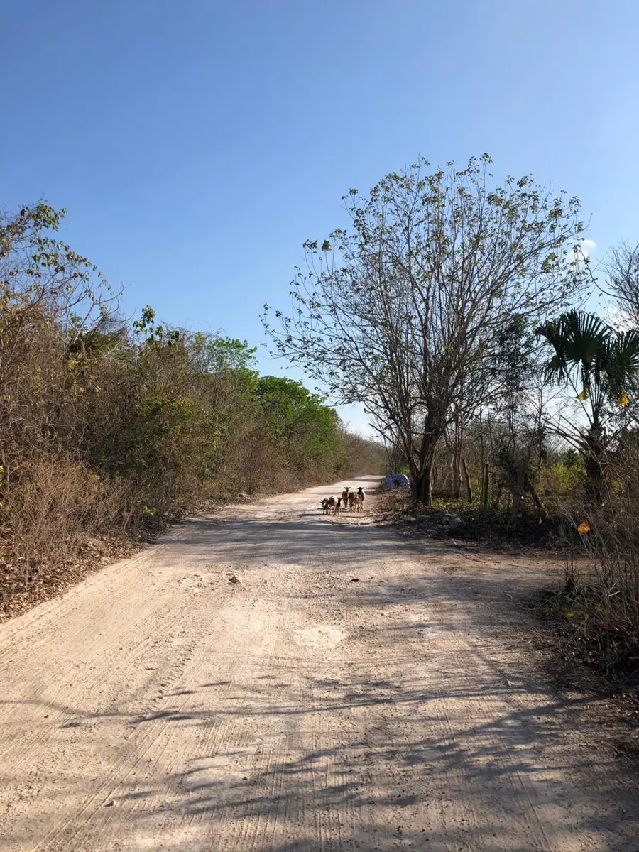Terreno en venta en Mahahual, Othón P. Blanco — foto 1 de 7