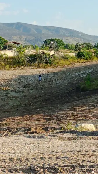 Terreno en venta en Sin colonia, Tlajomulco de Zúñiga — foto 2 de 3