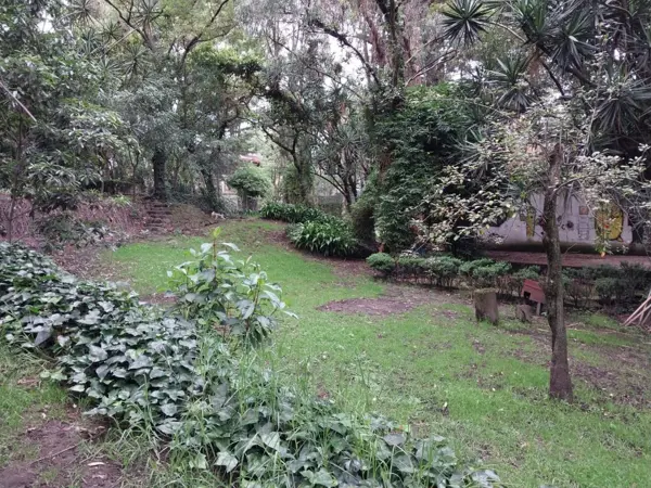 Casa en venta en Lomas de Chapultepec, Miguel Hidalgo — foto 2 de 10