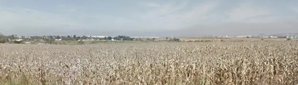 Terreno en venta en Sin colonia, El Salto — foto 3 de 6