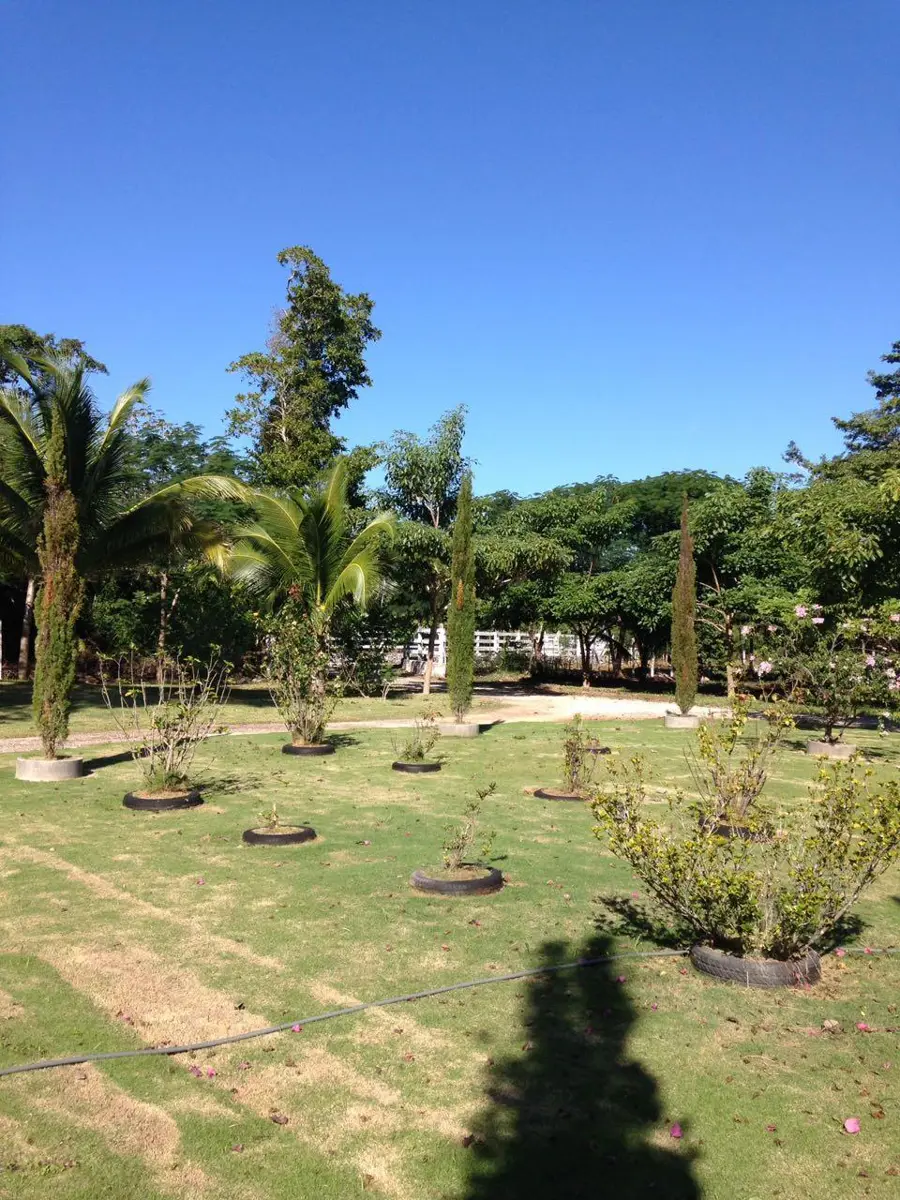 Finca-Rancho en venta en Cancún, Benito Juárez — foto 1 de 13