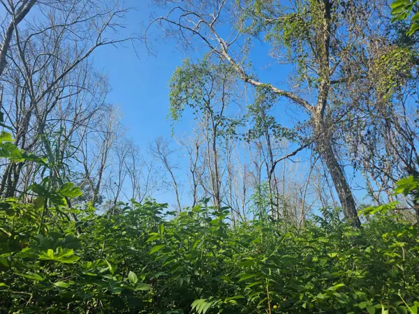 Terreno en venta en Sin colonia, Bacalar — foto 2 de 4