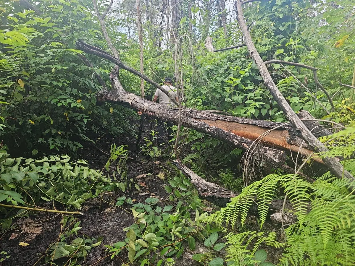 Terreno en venta en Sin colonia, Bacalar — foto 1 de 4