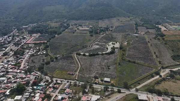 Finca-Rancho en venta en Sin colonia, Ixtlahuacán de los Membrillos — foto 2 de 12