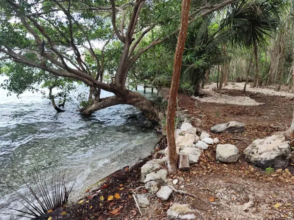 Terreno en venta en Sin colonia, Bacalar — foto 3 de 5