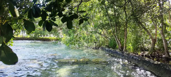 Terreno en venta en Sin colonia, Bacalar — foto 3 de 5