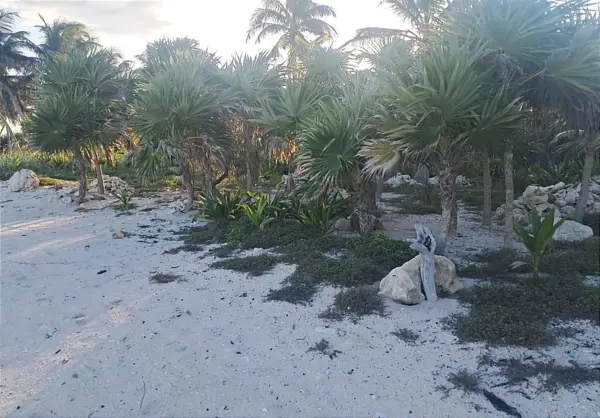 Terreno en venta en Mahahual, Othón P. Blanco — foto 3 de 6