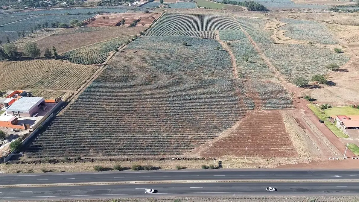 Terreno en venta en Sin colonia, El Arenal — foto 1 de 4