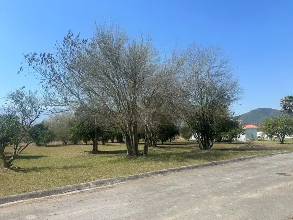 Terreno en venta en Los Guzman, Allende — foto 3 de 4