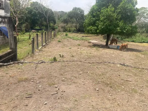 Terreno en venta en San Jose, Paso de Ovejas — foto 3 de 6