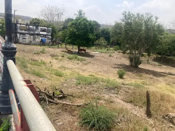 Terreno en venta en San Jose, Paso de Ovejas — foto 2 de 6