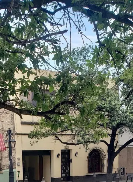 Casa en renta en Centro, Monterrey — foto 2 de 20