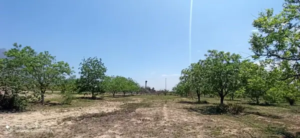 Terreno en venta en Icamole, García — foto 3 de 12