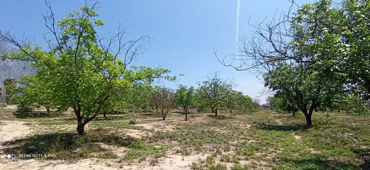 Terreno en venta en Icamole, García — foto 1 de 12