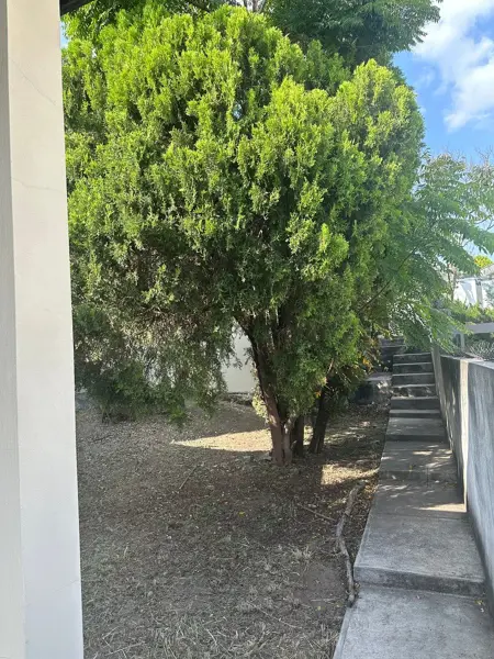 Casa en venta en Colinas de San Jeronimo, Monterrey — foto 2 de 38