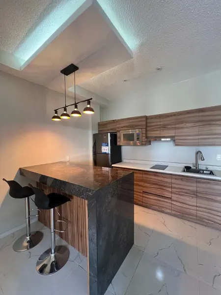 DEPARTAMENTO EN RENTA   SUR MTY