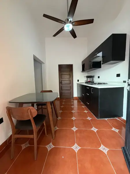 DEPARTAMENTO EN RENTA EN EL CENTRO