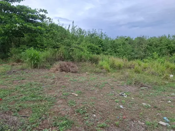 Terreno en venta en Punta Tiburón, Residencial, Marina y Golf, Alvarado — foto 3 de 4
