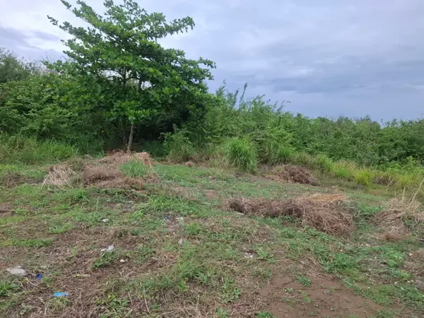 Terreno en venta en Punta Tiburón, Residencial, Marina y Golf, Alvarado — foto 2 de 4