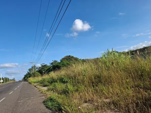 Terreno en Venta junto a Punta Tiburón en Alvarado, Veracruz