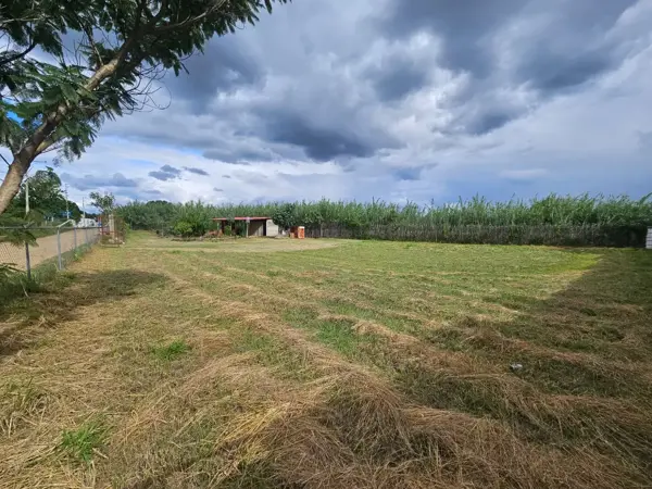 Terreno en venta en San Francisco Lachigoló, San Francisco Lachigolo — foto 3 de 9