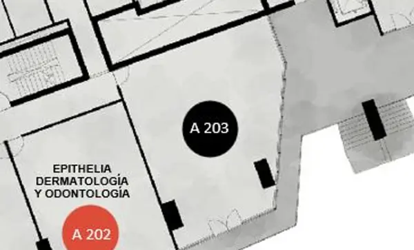 Local en Renta en Santa Maria, Monterrey, Nuevo León 2