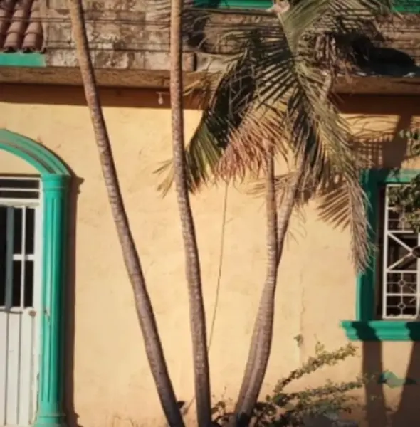 Casa en venta en La Capilla, Acaponeta — foto 2 de 6
