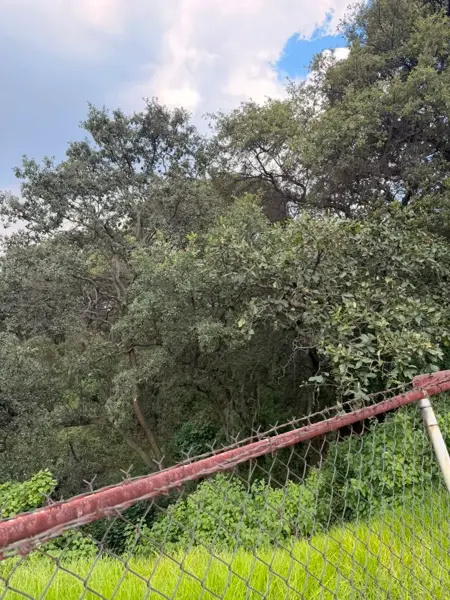 Terreno en venta en Condado de Sayavedra, Atizapán de Zaragoza — foto 3 de 13