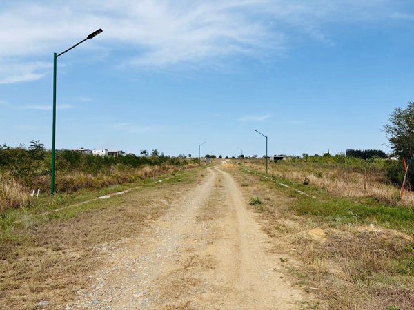Terreno en venta en Atongo de Abajo (Atongo Allende), Allende — foto 2 de 14