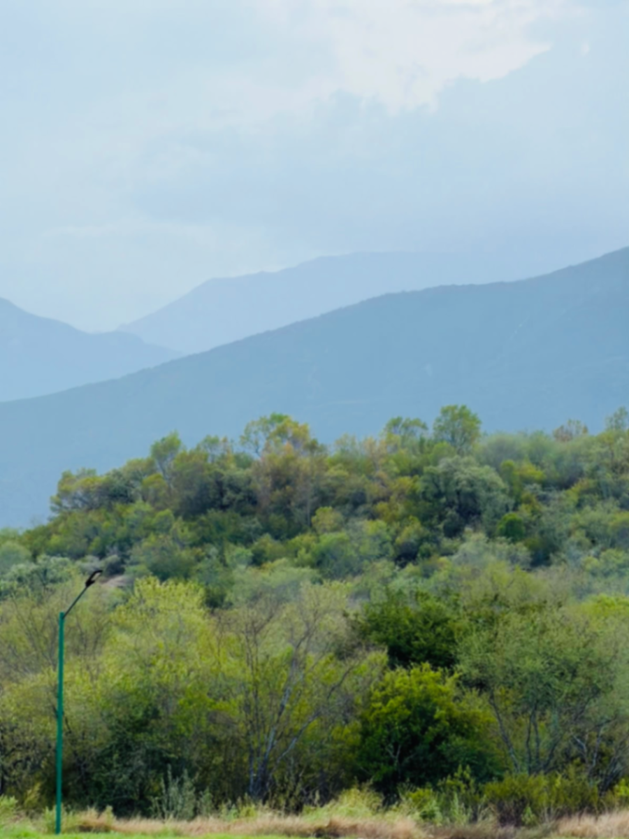 Terreno en Venta en Atongo de Abajo (Atongo Allende), Allende, Nuevo León