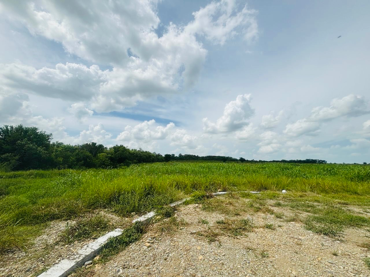 Terreno en Venta en Atongo de Abajo (Atongo Allende), Allende, Nuevo León