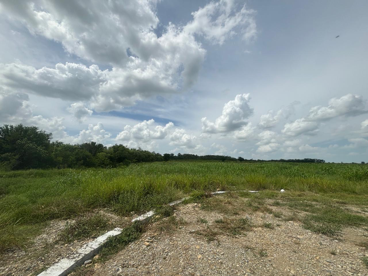 Terreno en Venta en Atongo de Abajo (Atongo Allende), Allende, Nuevo León
