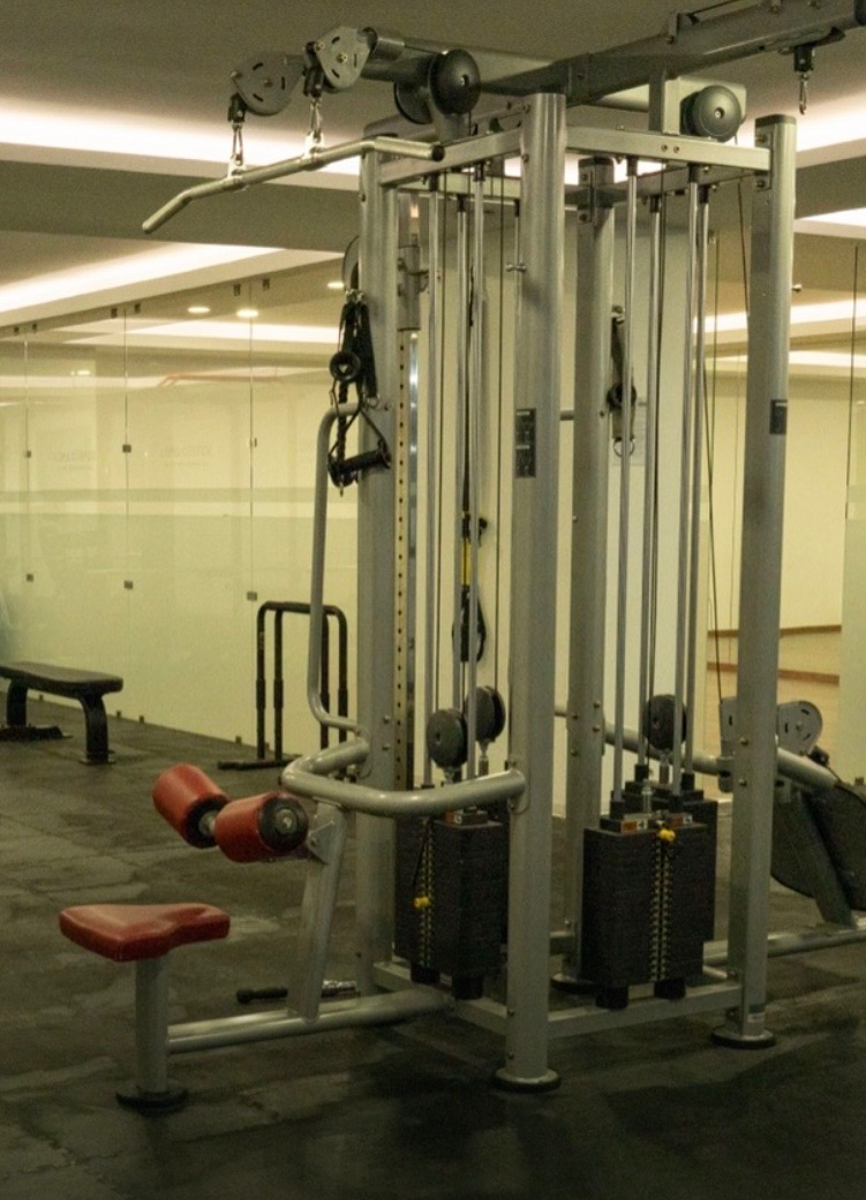 Área de aparatos de fuerza del gimnasio del desarrollo