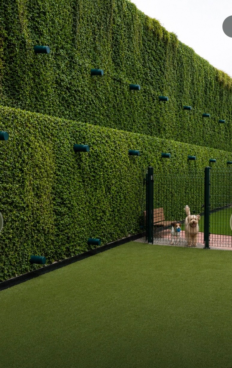 Muro verde y área exterior del desarrollo La Cúspide