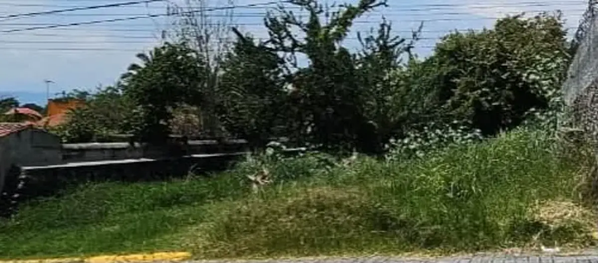 Terreno en venta en Brisas, Temixco — foto 1 de 3