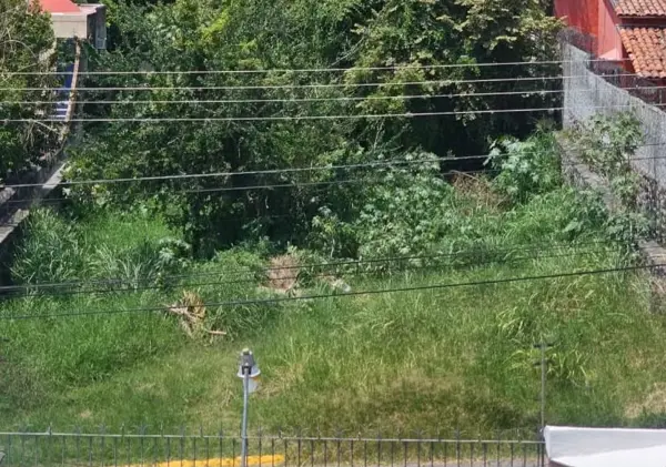Terreno en venta en Brisas, Temixco — foto 3 de 3