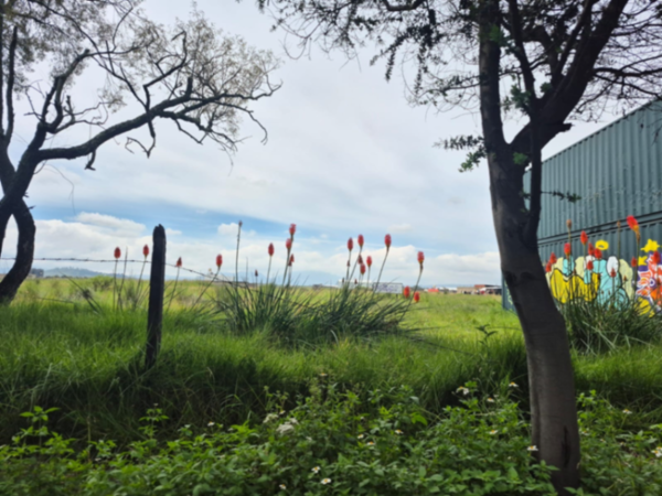 Terreno en venta en San Miguel Totocuitlapilco, Metepec — foto 2 de 2