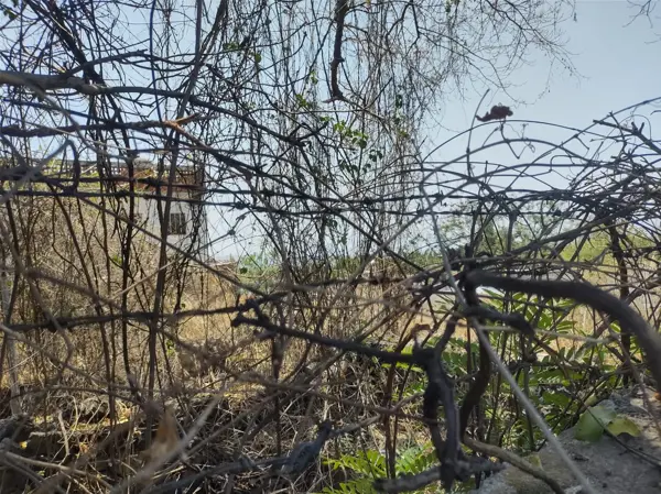 Terreno en venta en Oaxtepec Centro, Yautepec — foto 2 de 3