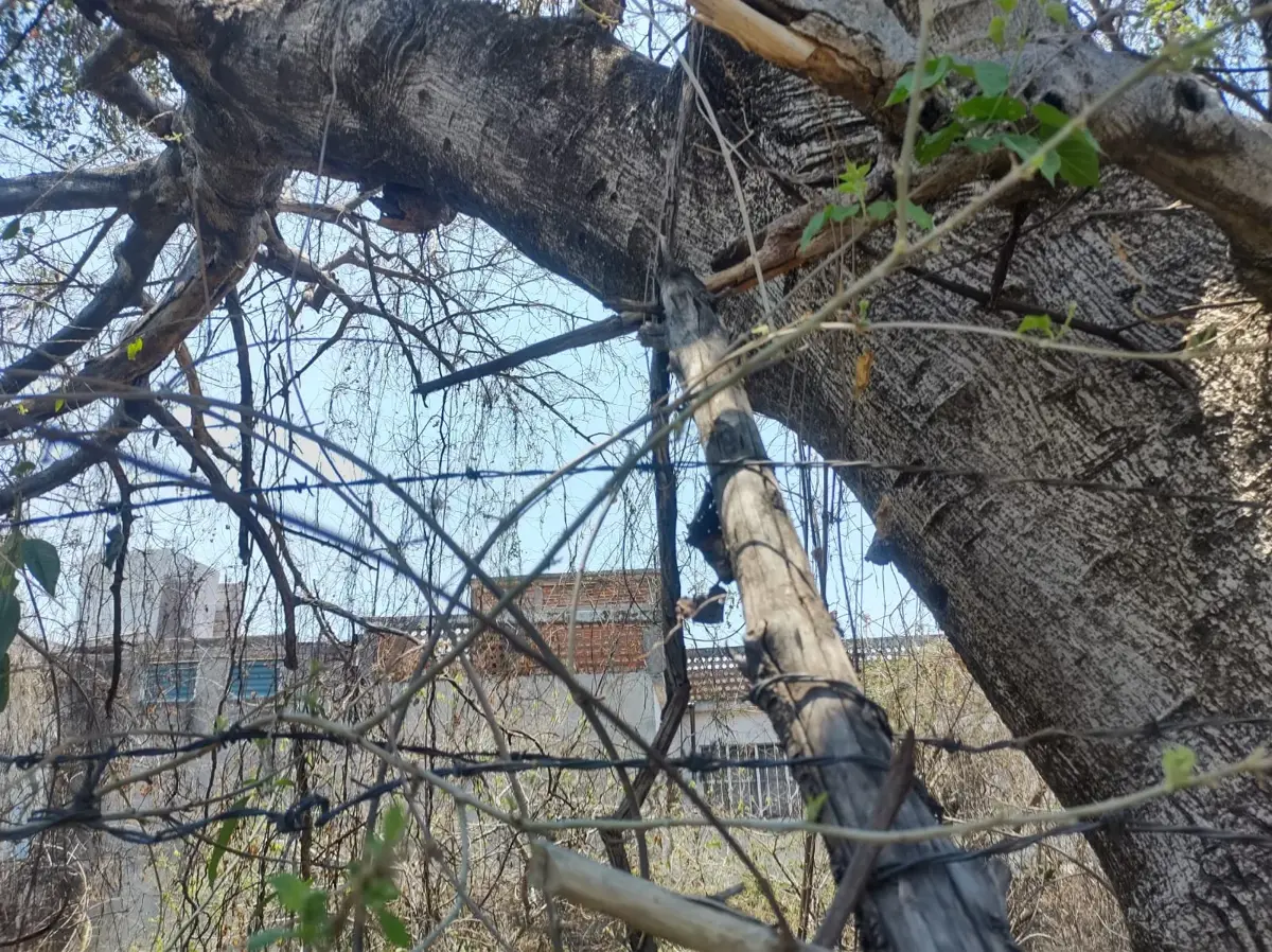 Terreno en venta en Oaxtepec Centro, Yautepec — foto 1 de 2