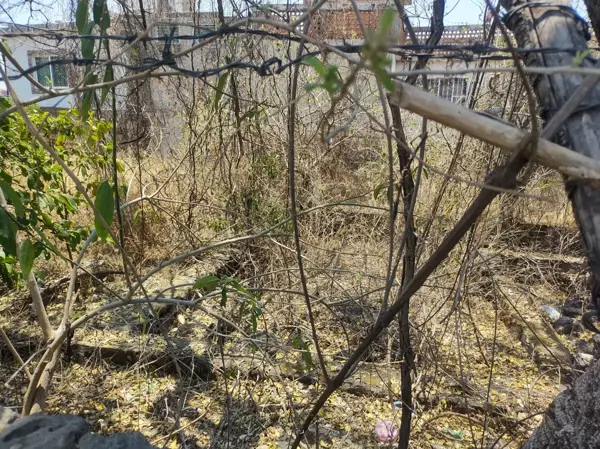 Terreno en venta en Oaxtepec Centro, Yautepec — foto 2 de 2
