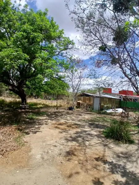 Terreno en venta en Santa María del Tule Centro, Santa María del Tule — foto 2 de 6