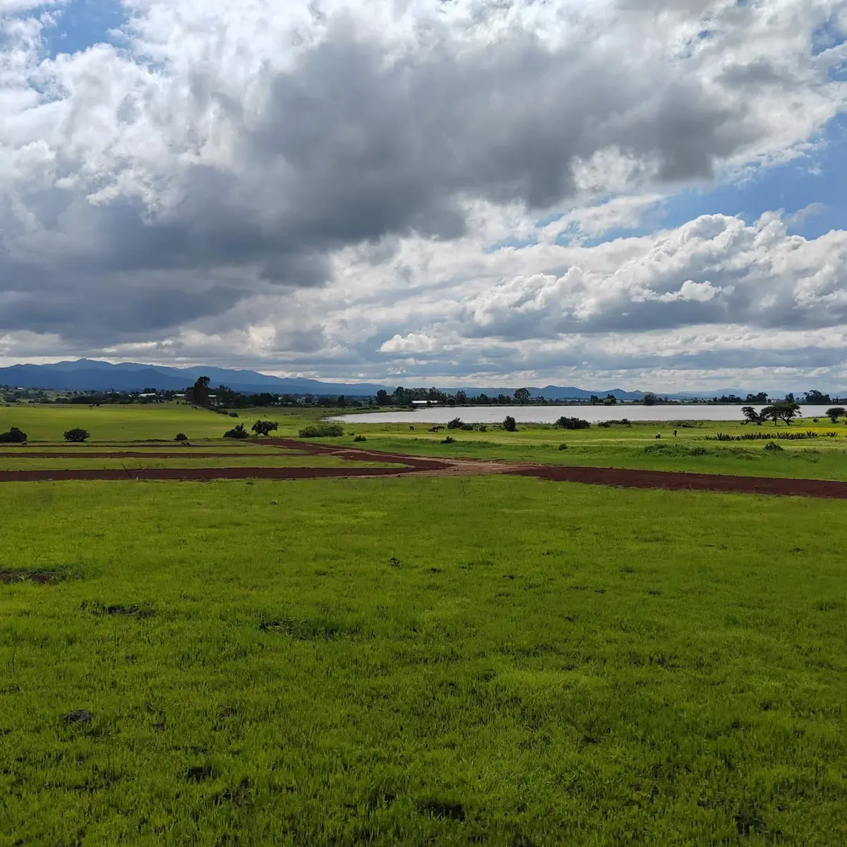 Terreno en venta en San Miguel Cacaloapan, Huasca de Ocampo — foto 1 de 10